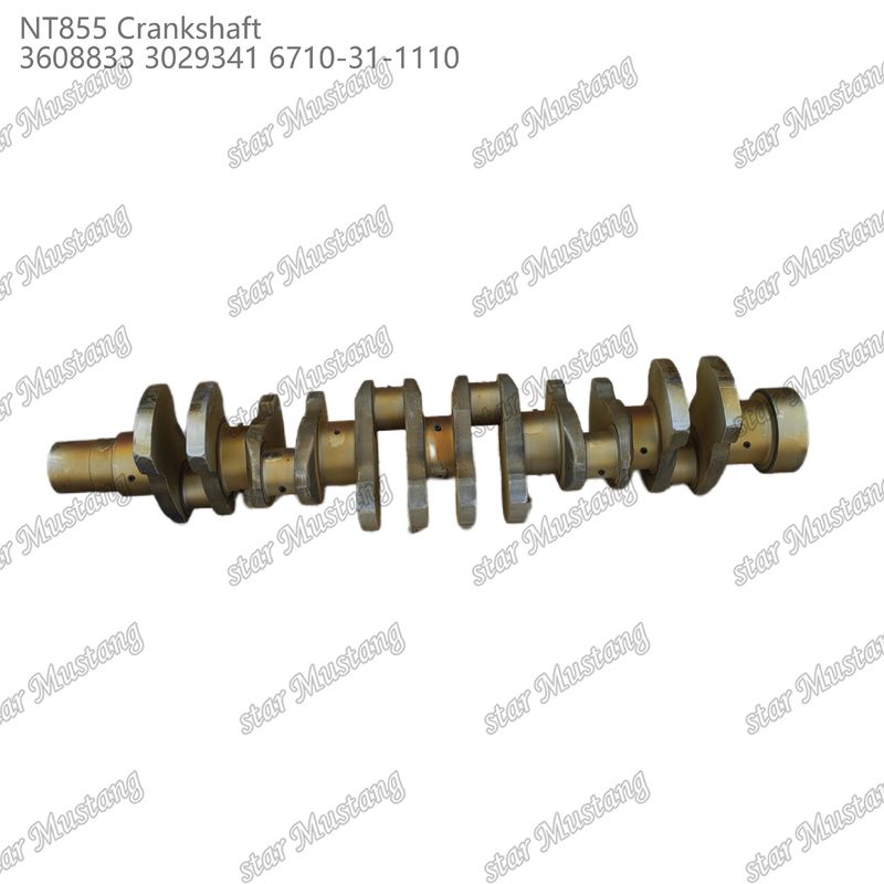Краншафт NT855 кованая сталь 3608833 3029341 6710-31-1110 Для частей дизельных двигателей Cummins
