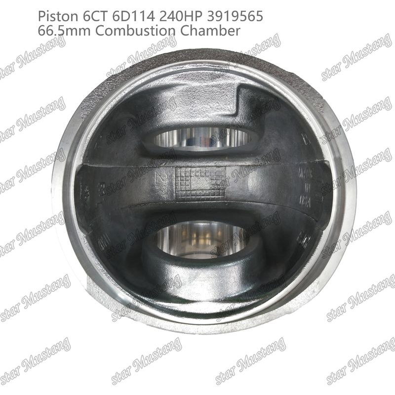 Пистон 6CT 6D114 240HP 3919565 66,5 мм камера сгорания для кузов дизельных двигателей Cummins