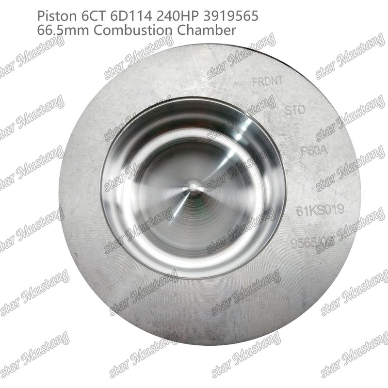 Пистон 6CT 6D114 240HP 3919565 66,5 мм камера сгорания для кузов дизельных двигателей Cummins
