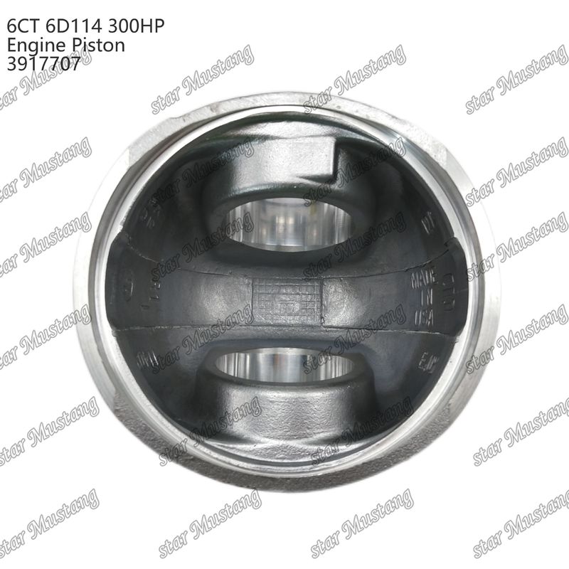 Пистоны 6CT 6D114 300HP 3917707 55мм Камера сгорания для кузов дизельных двигателей Cummins