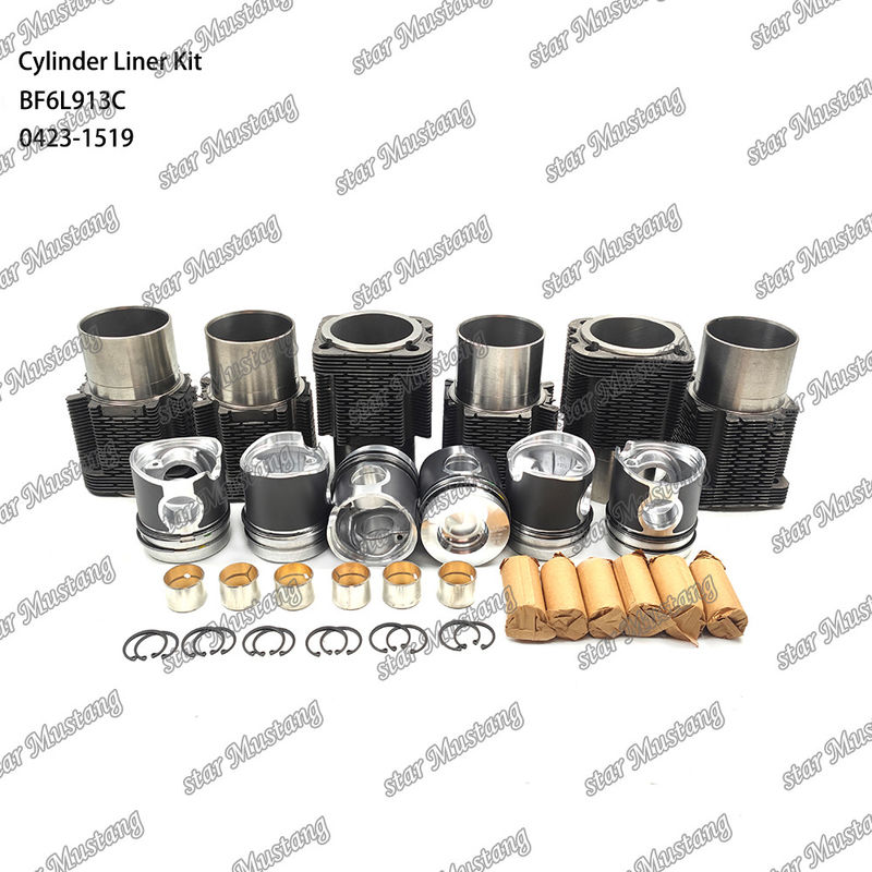 Новое состояние дизельного двигателя для BF6L913C 0423-1519