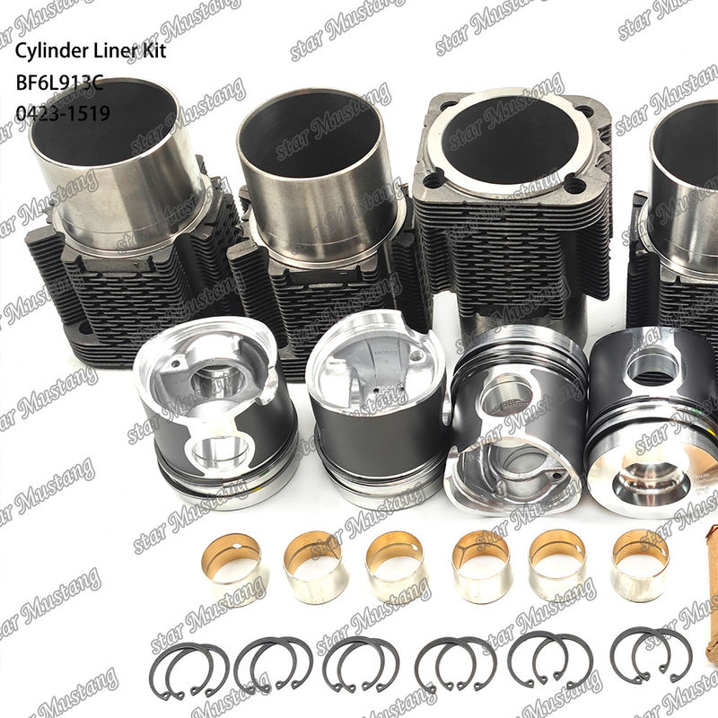 Новое состояние дизельного двигателя для BF6L913C 0423-1519