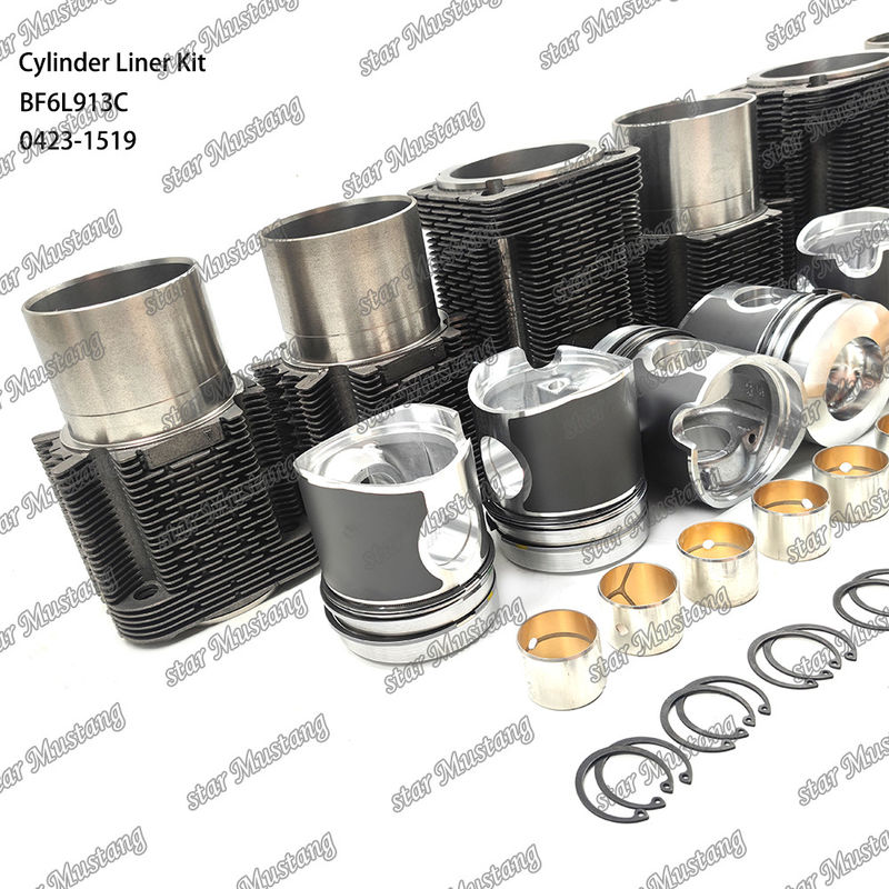 Новое состояние дизельного двигателя для BF6L913C 0423-1519
