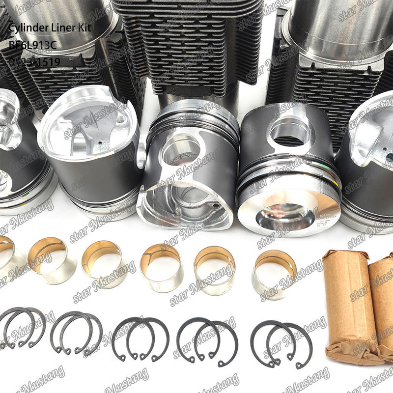 Новое состояние дизельного двигателя для BF6L913C 0423-1519