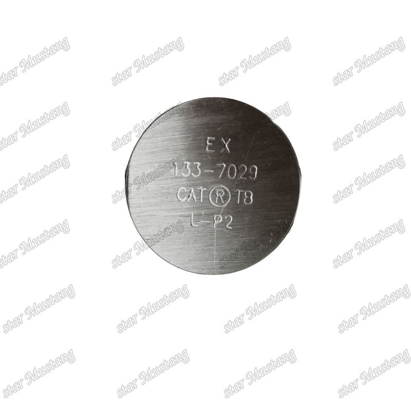 3176C C10 IN 7E9578 EX 133-7029 клапан для запасных частей двигателя Caterpillar