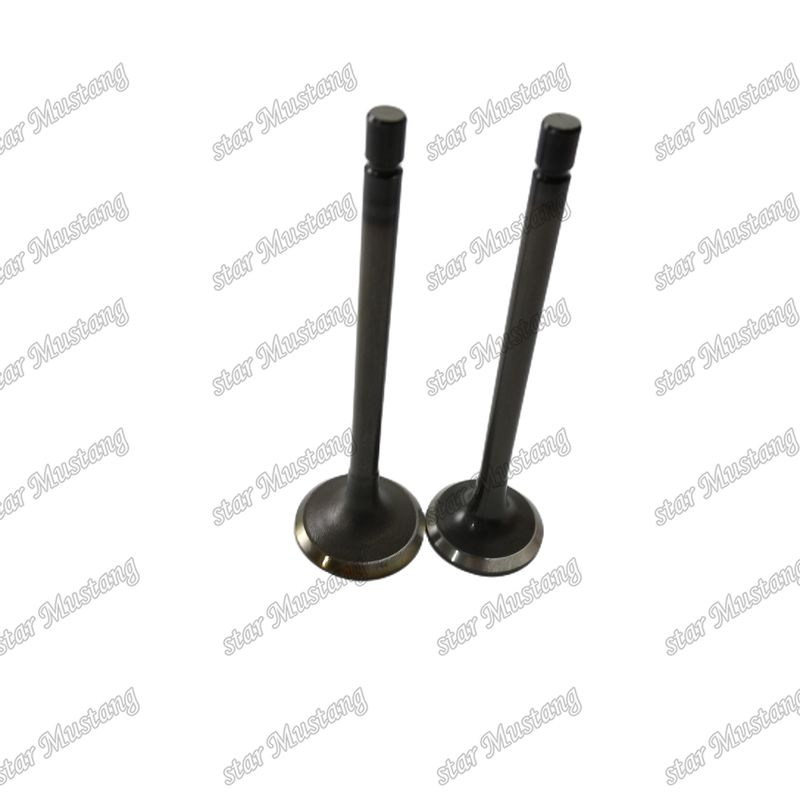 клапан 4JJ1 8-97309-675-1 8-97309-677-1 для запасных частей двигателей Isuzu