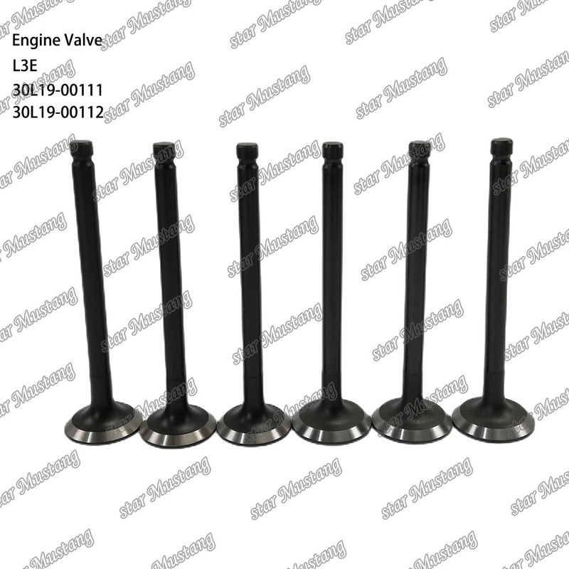 L3E 30L19-00111 30L19-00112 Дизельный двигатель клапан подходит для Mitsubishi запасных частей
