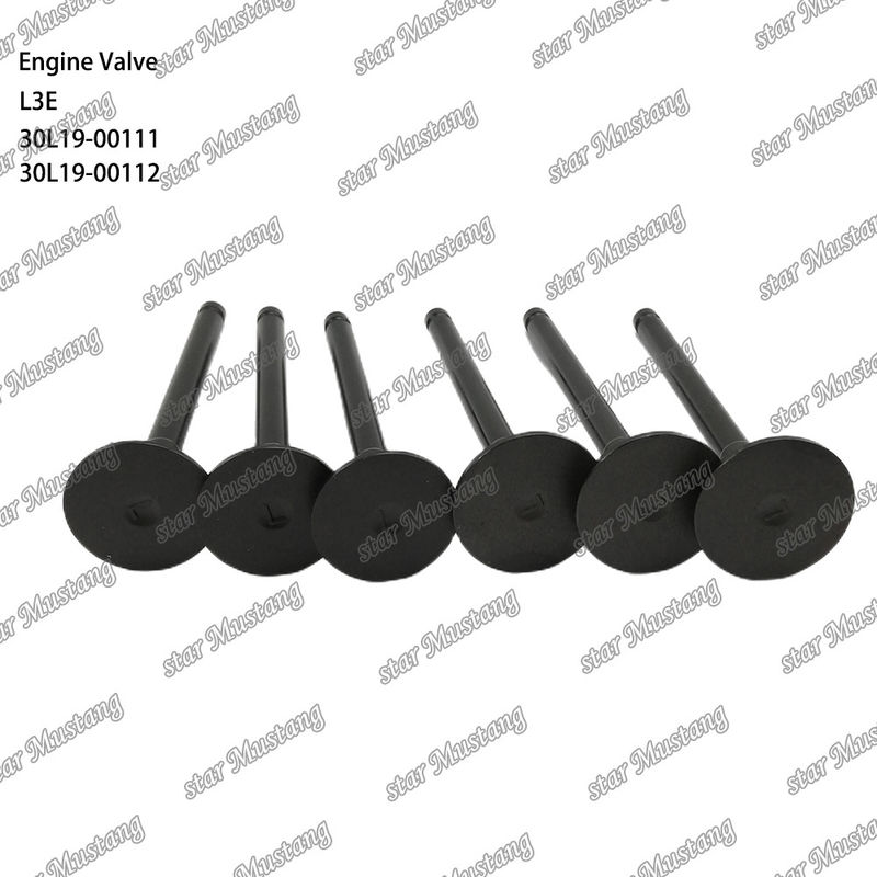 L3E 30L19-00111 30L19-00112 Дизельный двигатель клапан подходит для Mitsubishi запасных частей