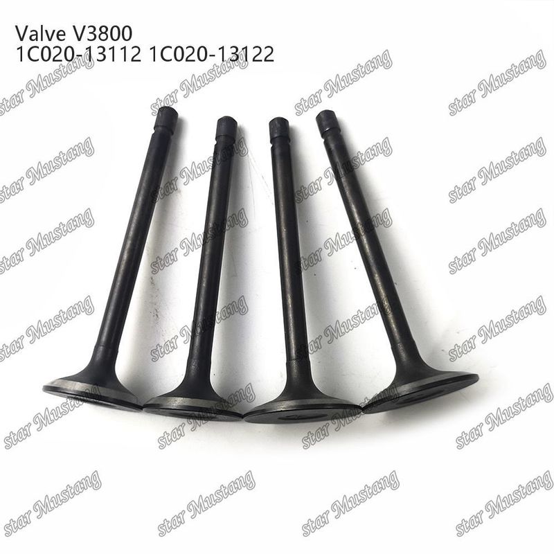 V3800 1C020-13112 1C020-13122 Часть дизельного двигателя Original Stock Integral Structure Valve с поддержкой онлайн