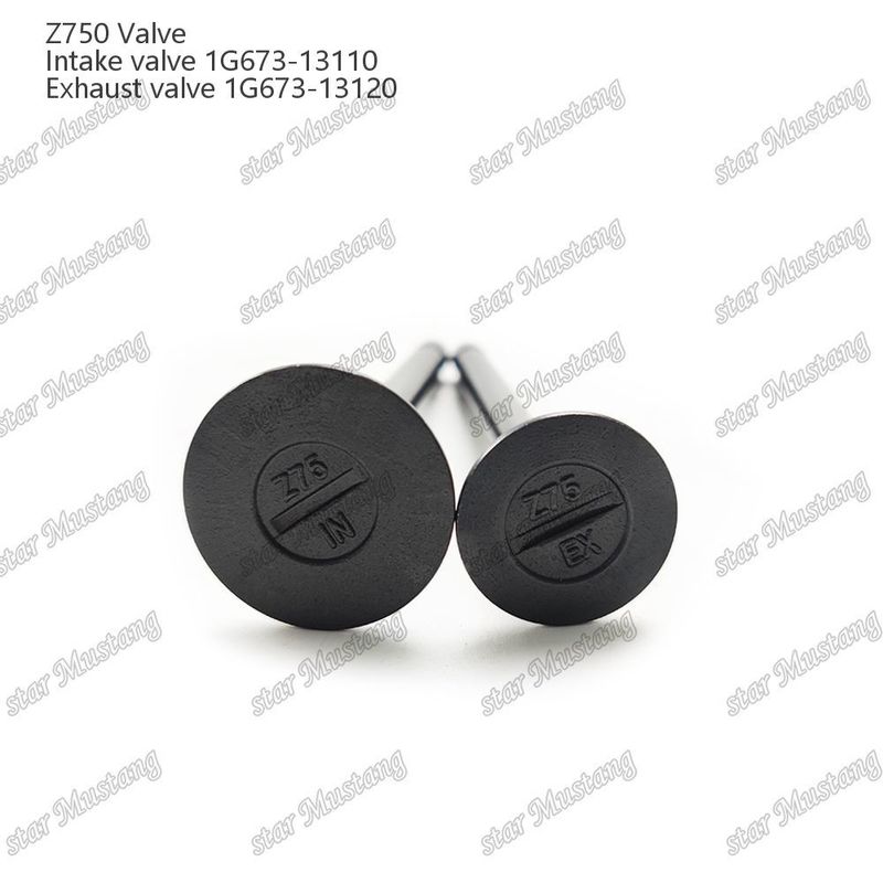 Интегральная конструкция клапана Z750 1G673-13110 1G673-13120 Дизельный двигатель Часть оригинальный запас с онлайн-поддержкой После