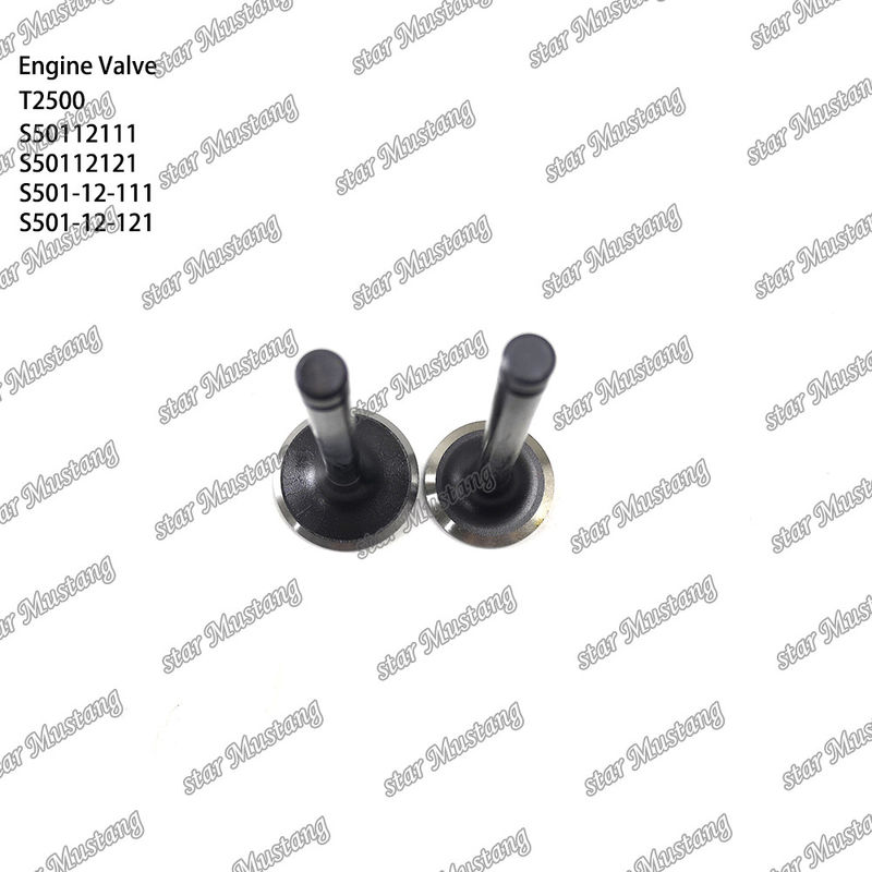Интегральная конструкция клапана T2500 S50112111 S50112121 S501-12-111 S501-12-121 Дизельный двигатель Часть оригинальный запас с онлайн поддержки После