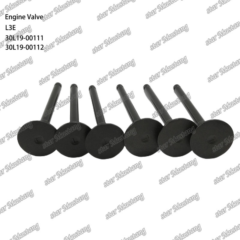 L3E 30L19-00111 30L19-00112 Дизельный двигатель Часть оригинальный запас с онлайн поддержкой После