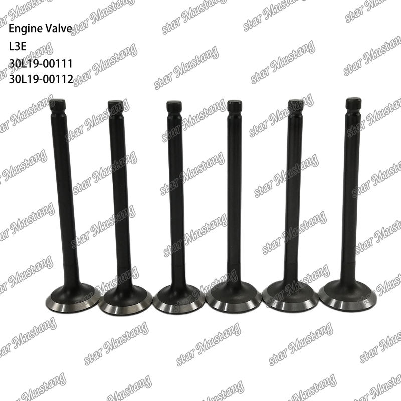 L3E 30L19-00111 30L19-00112 Дизельный двигатель Часть оригинальный запас с онлайн поддержкой После