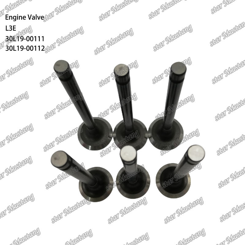 L3E 30L19-00111 30L19-00112 Дизельный двигатель Часть оригинальный запас с онлайн поддержкой После